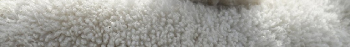 structure/Properties of wool