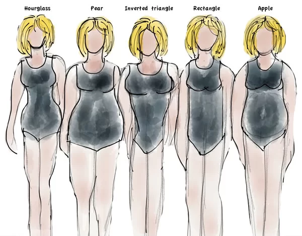 Women body shapes